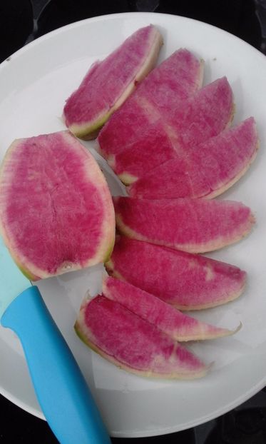  - SEMINTE RIDICHI WATERMELON