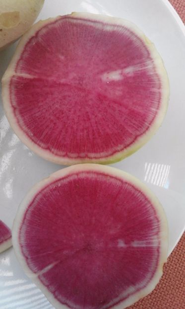  - SEMINTE RIDICHI WATERMELON