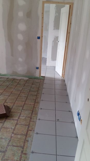  - Lucrari in Lyon 2018