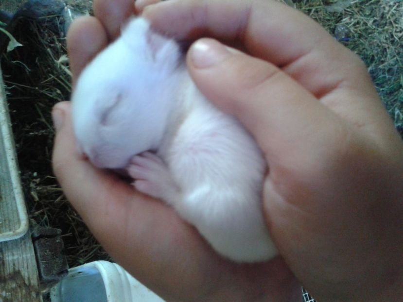 Fotografie0038 - 0 0 0CONTACT