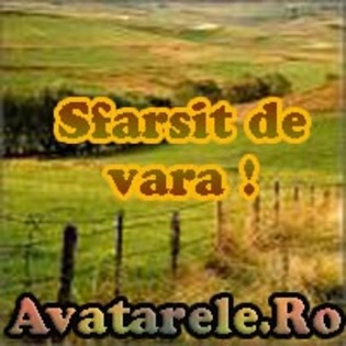 06 - Avatare