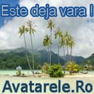 33 - Avatare