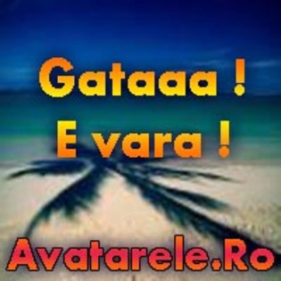 48 - Avatare