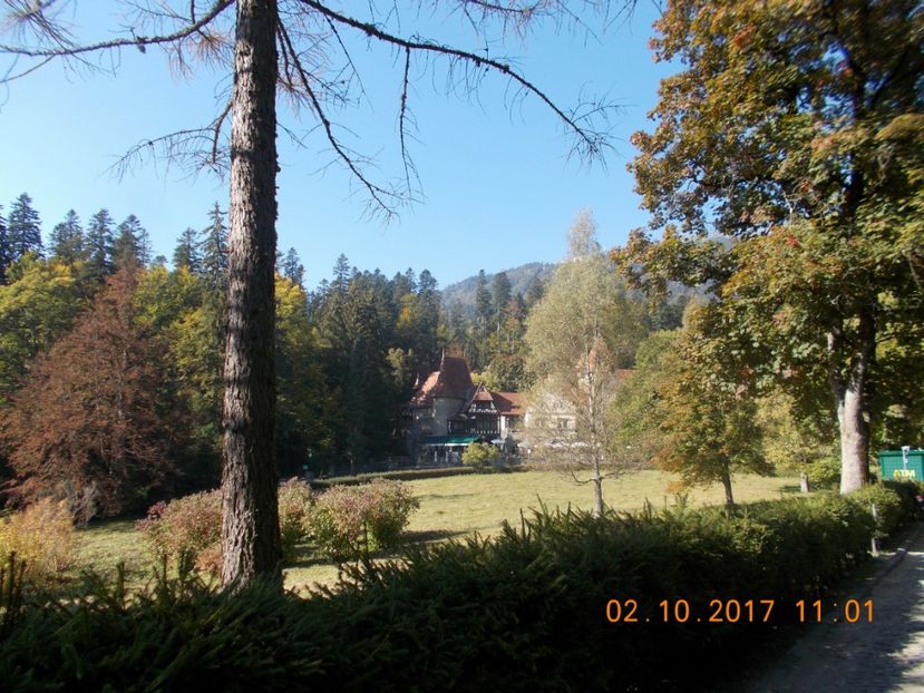  - 02 OCT 2017 PRIN CURTEA CASTELULUI PELEŞ DIN SINAIA