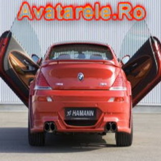 23 - Avatare