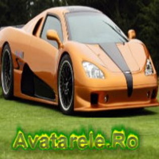 24 - Avatare