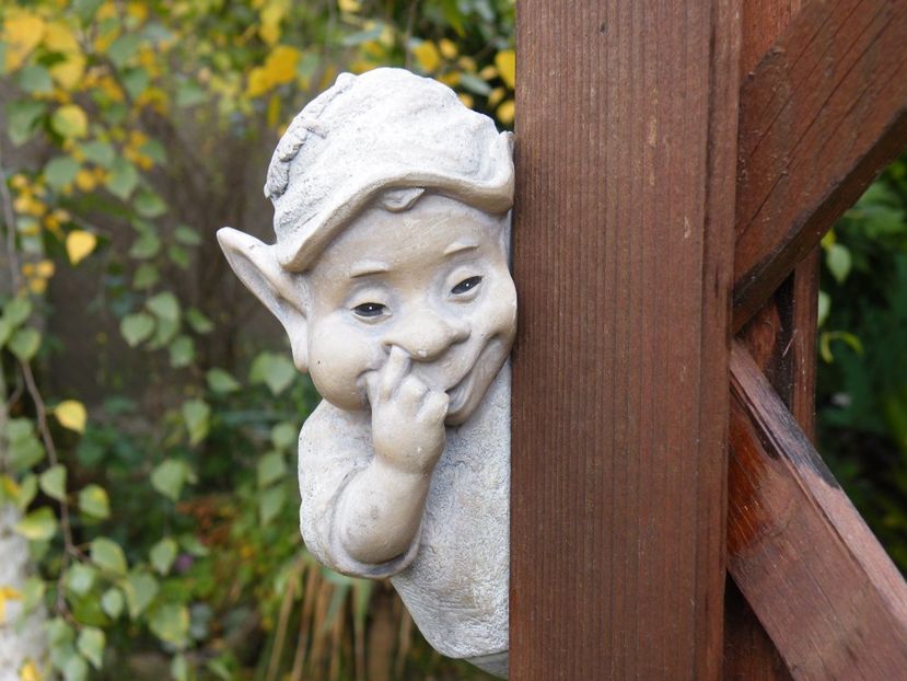  - 2017 in gradina mea