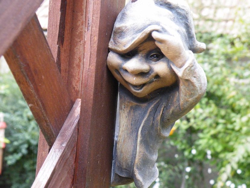  - 2017 in gradina mea