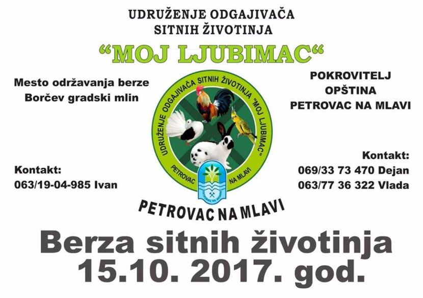 - T--TARGURI SI EXPOZITII