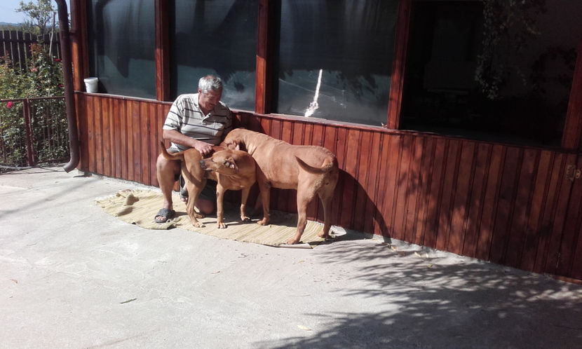  - 1 CATELUSELE NOASTRE