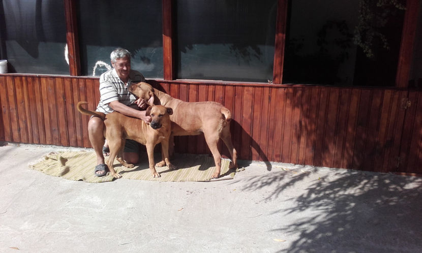  - 1 CATELUSELE NOASTRE