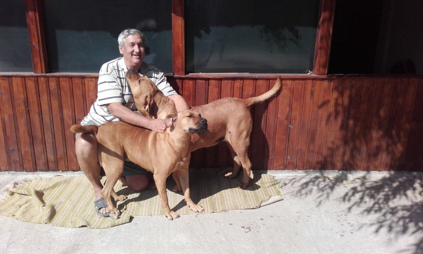  - 1 CATELUSELE NOASTRE