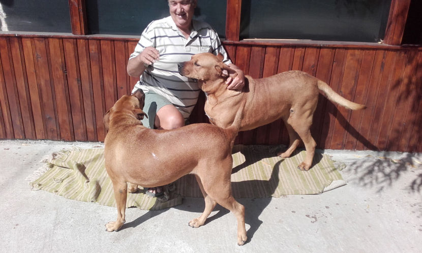  - 1 CATELUSELE NOASTRE