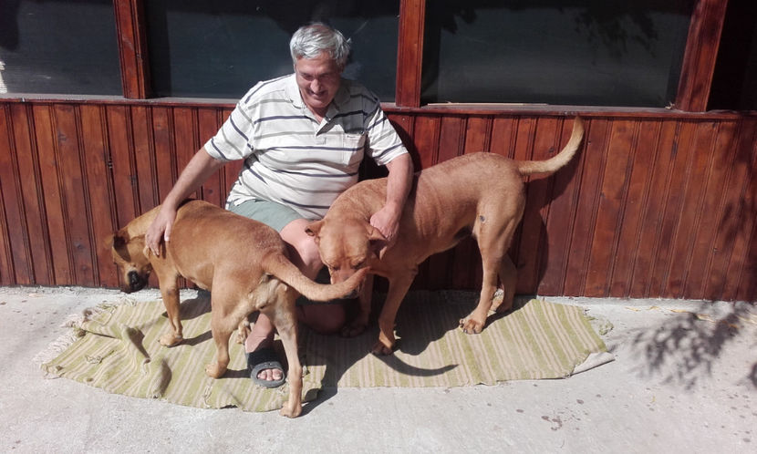  - 1 CATELUSELE NOASTRE