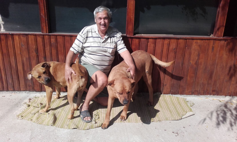  - 1 CATELUSELE NOASTRE