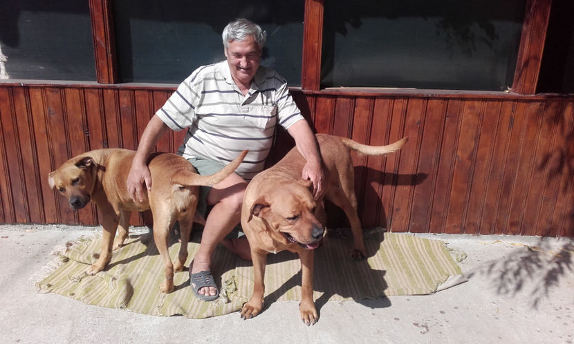  - 1 CATELUSELE NOASTRE