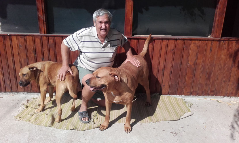  - 1 CATELUSELE NOASTRE