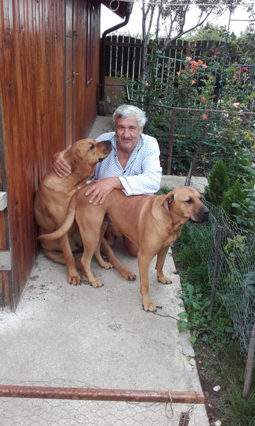  - 1 CATELUSELE NOASTRE