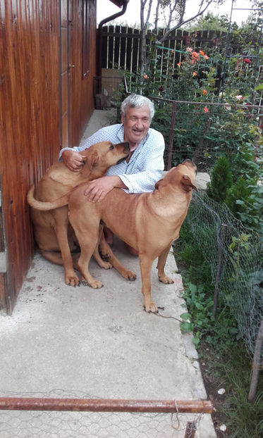  - 1 CATELUSELE NOASTRE