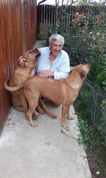  - 1 CATELUSELE NOASTRE