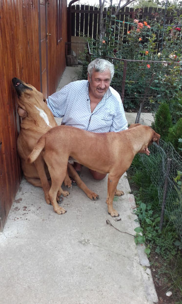  - 1 CATELUSELE NOASTRE