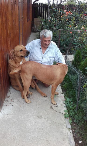  - 1 CATELUSELE NOASTRE