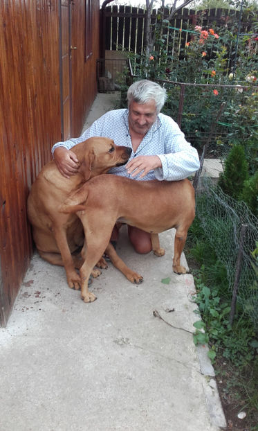  - 1 CATELUSELE NOASTRE