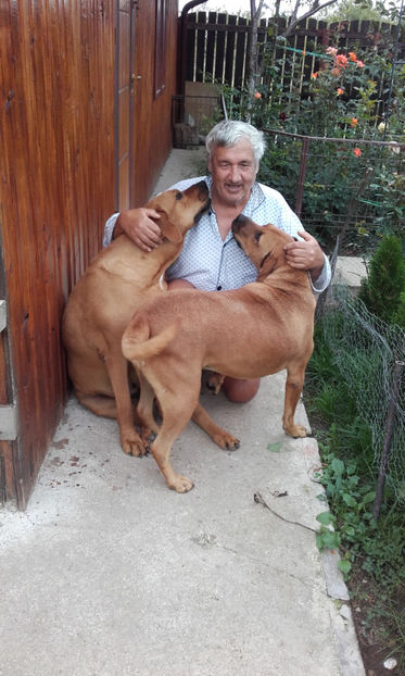  - 1 CATELUSELE NOASTRE