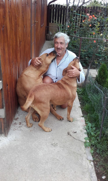  - 1 CATELUSELE NOASTRE