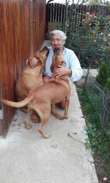  - 1 CATELUSELE NOASTRE