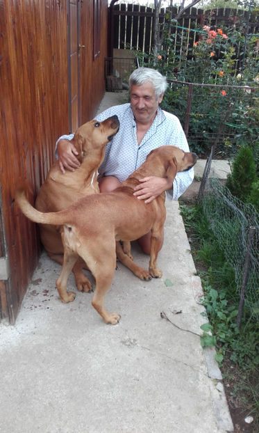  - 1 CATELUSELE NOASTRE