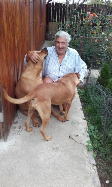  - 1 CATELUSELE NOASTRE