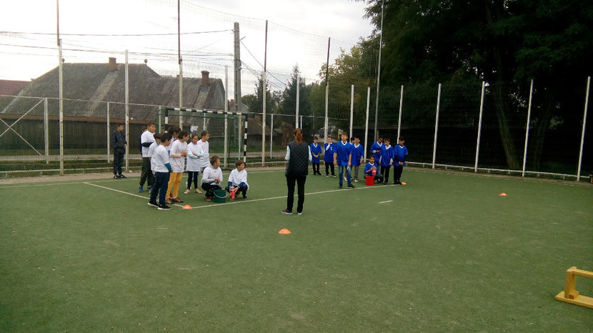  - ziua educatiei - 5 octombrie 2017