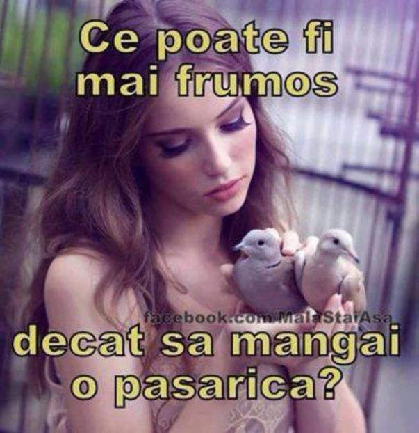  - Trăiește ziua de azi ca și cum ar fi ultima