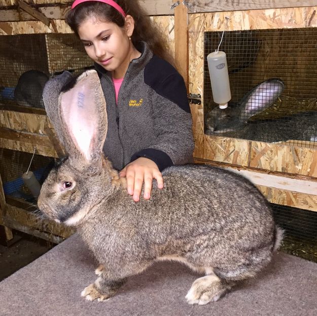 Antonia cu masculul - FIUL CAMPIOANEI MELE