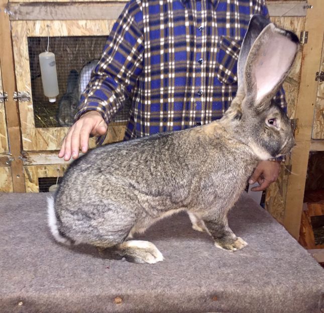 Masculul in prim plan, eu pe fundal - FIUL CAMPIOANEI MELE