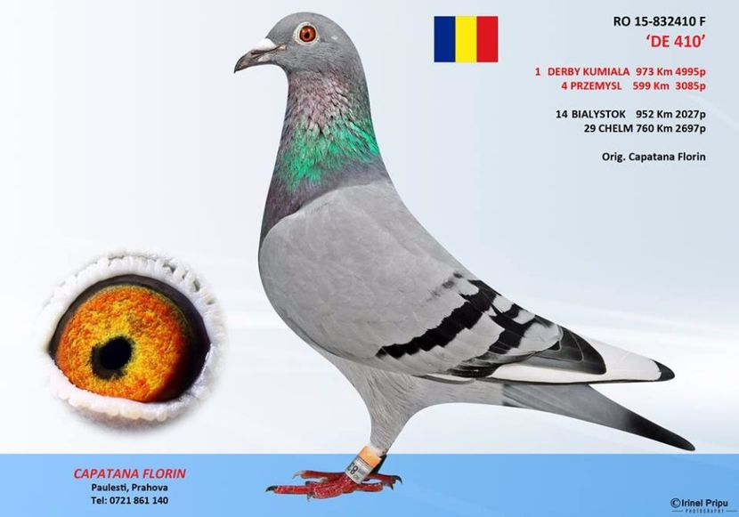  - 02-10-2017-Intarire Capatana Florin-Prahova