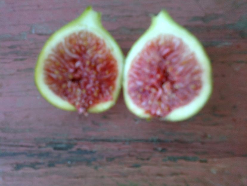 2017-09-14-8033 - oferta primavara 2018