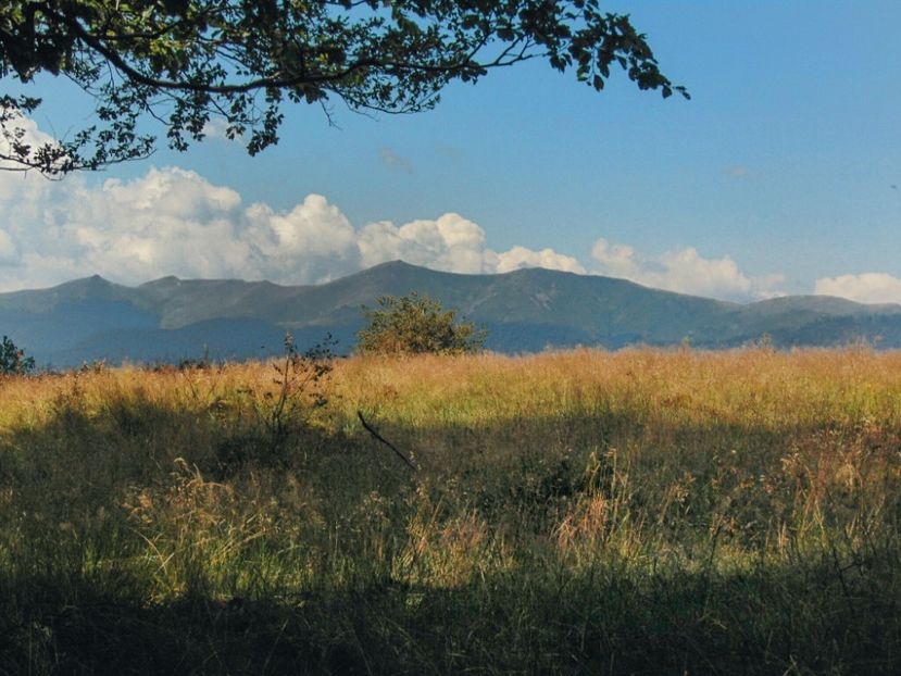  - Photo 09