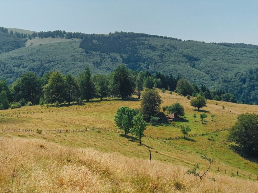  - Photo 09