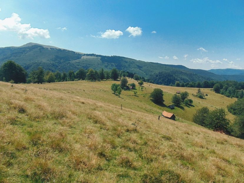  - Photo 09