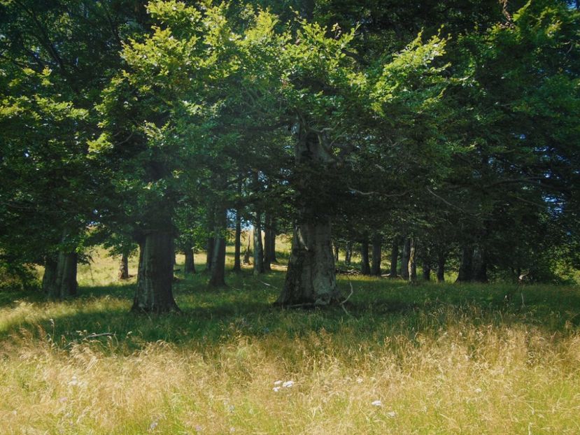  - Photo 09