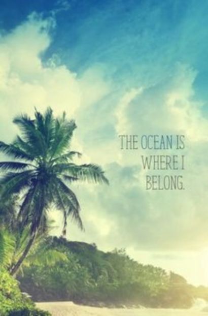  - The dog are preetyiest than you