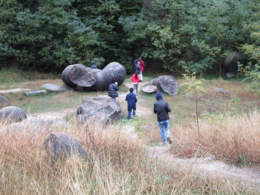  - 2017 - Excursie - 7 oct