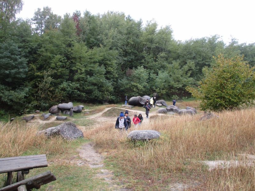  - 2017 - Excursie - 7 oct