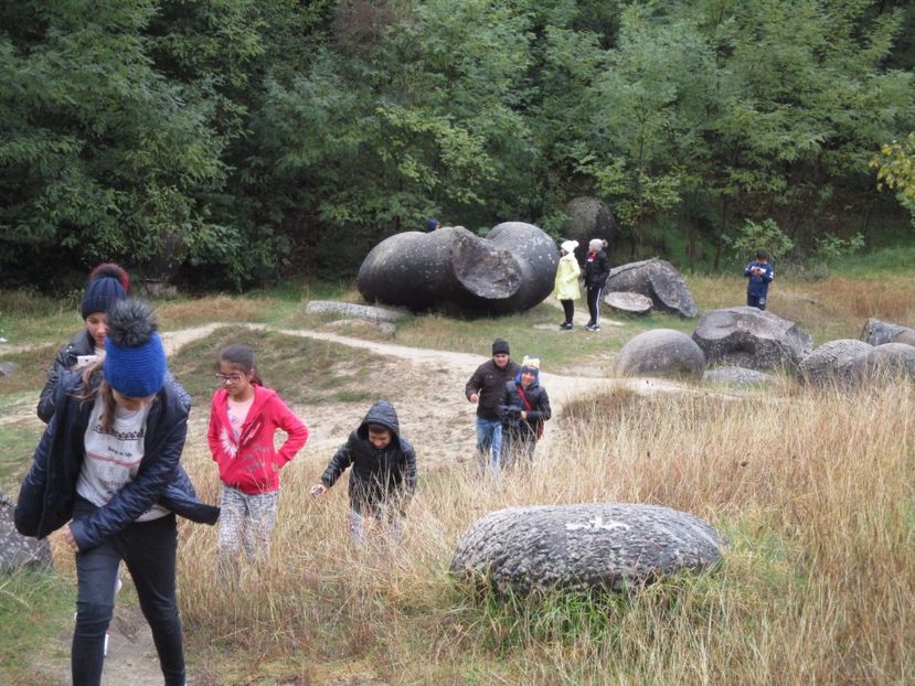  - 2017 - Excursie - 7 oct