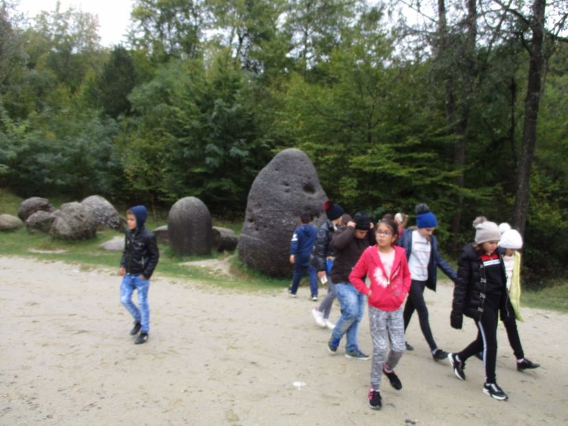  - 2017 - Excursie - 7 oct