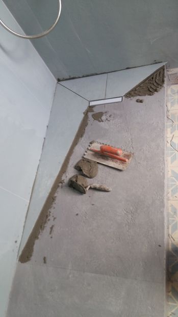  - Lucrari in Lyon 2018