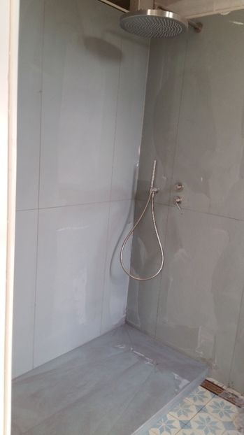  - Lucrari in Lyon 2018