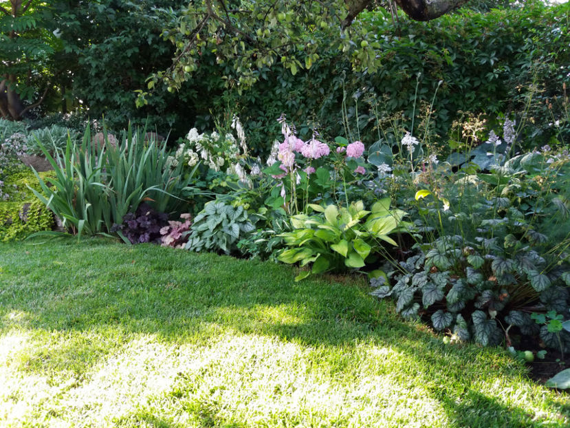 Picture 065 - Vara 2017